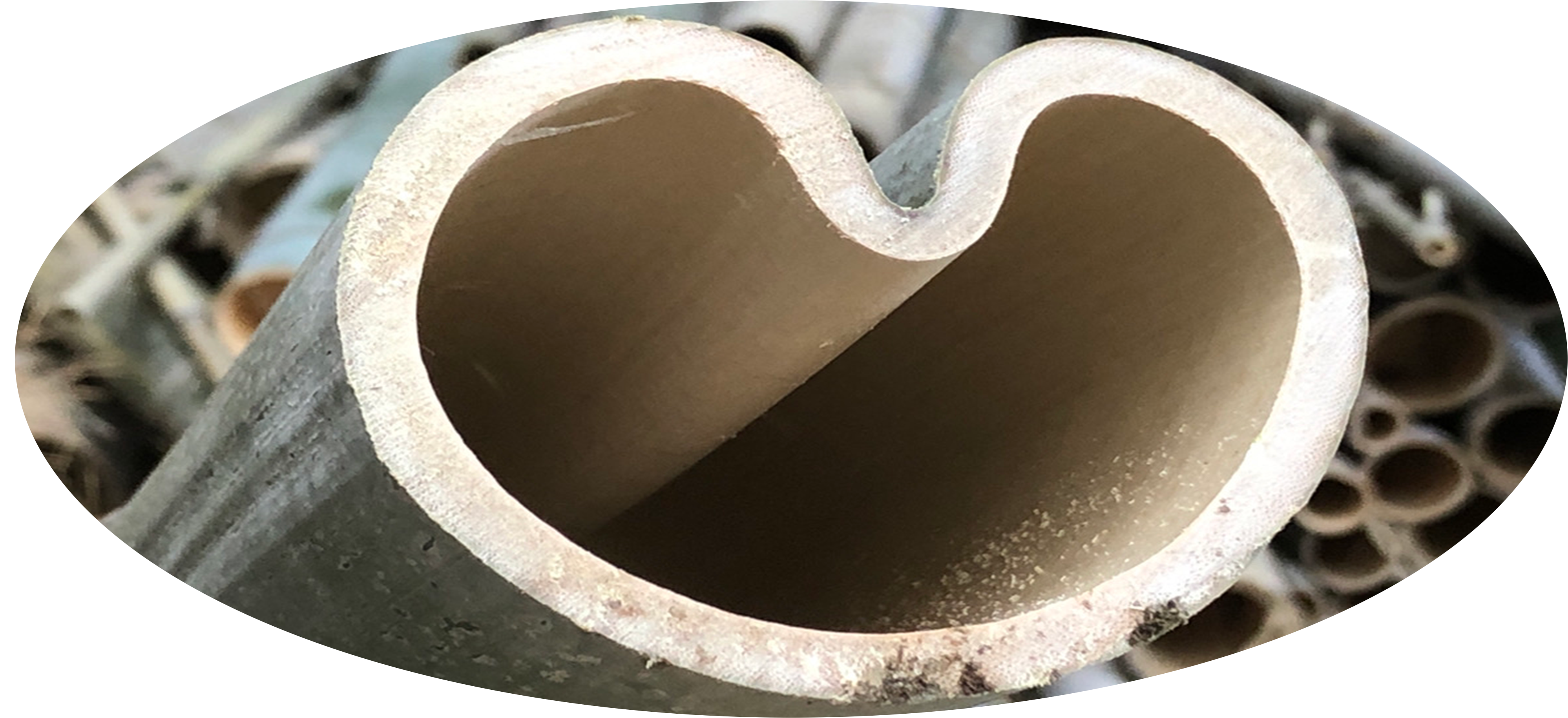 画像：ハート型に変形した竹