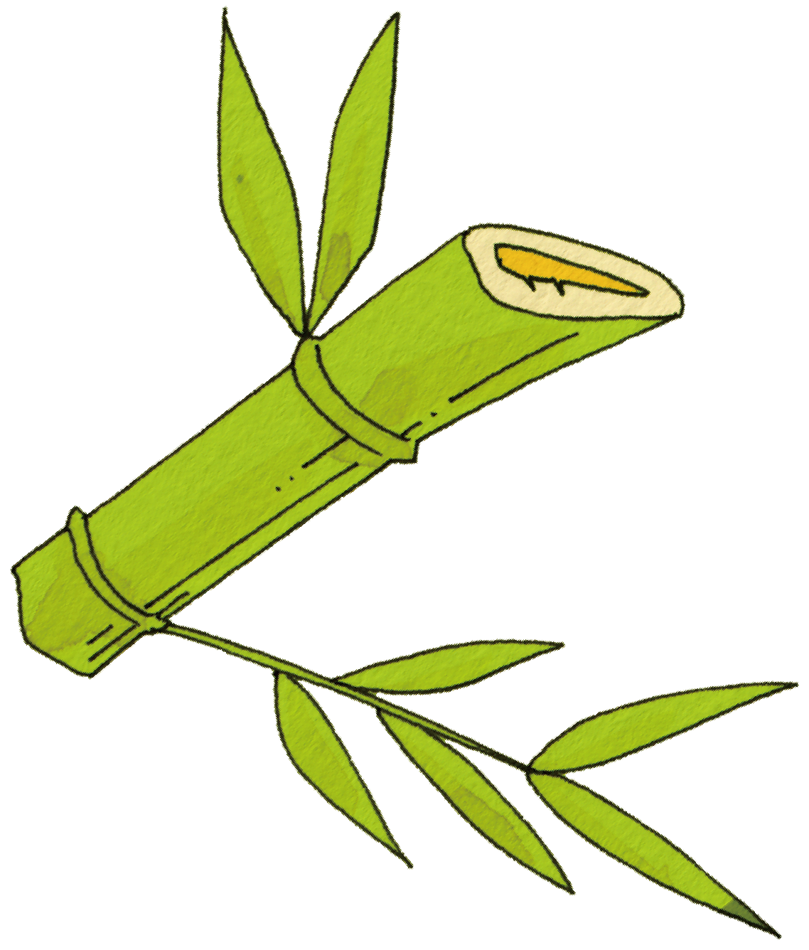 画像：枝の付いた竹のイラスト